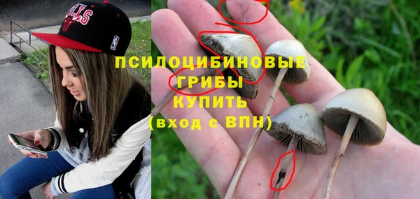 ешки Балахна