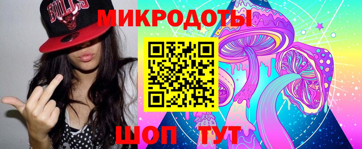 ГАШ Печора