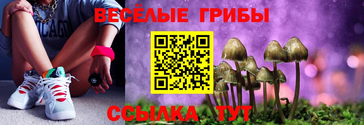 Галлюциногенные грибы мухоморы  Вход с VPN  Печора 